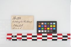 Etikett zu Bronzemehrkopfnadel (NHMW-PRAE-026584)